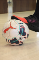 XXIX Liga Fútbol Sala Adultos