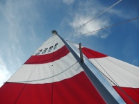 Cursos: Barco Escuela,Topaz, Windsurf y Taz